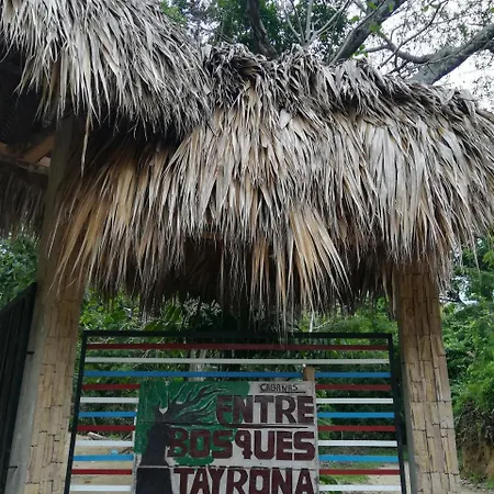 Entre Bosques Tayrona Villa Los Naranjos Exterior photo
