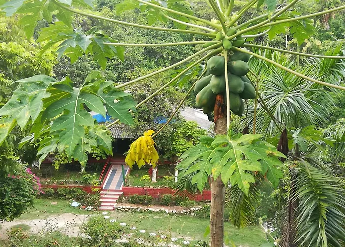 Entre Bosques Tayrona