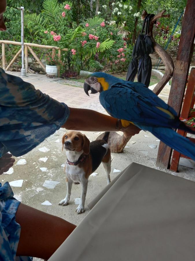 Lodge Entre Bosques Tayrona