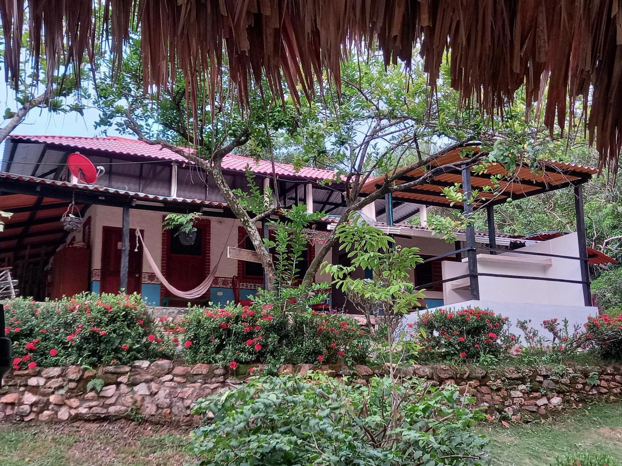 Entre Bosques Tayrona Lodge *