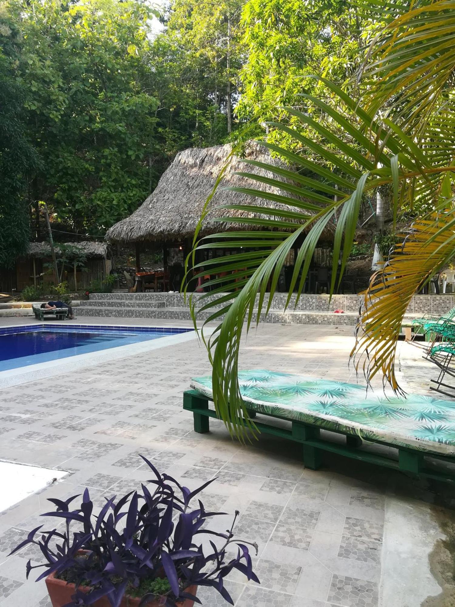 Entre Bosques Tayrona Lodge Los Naranjos