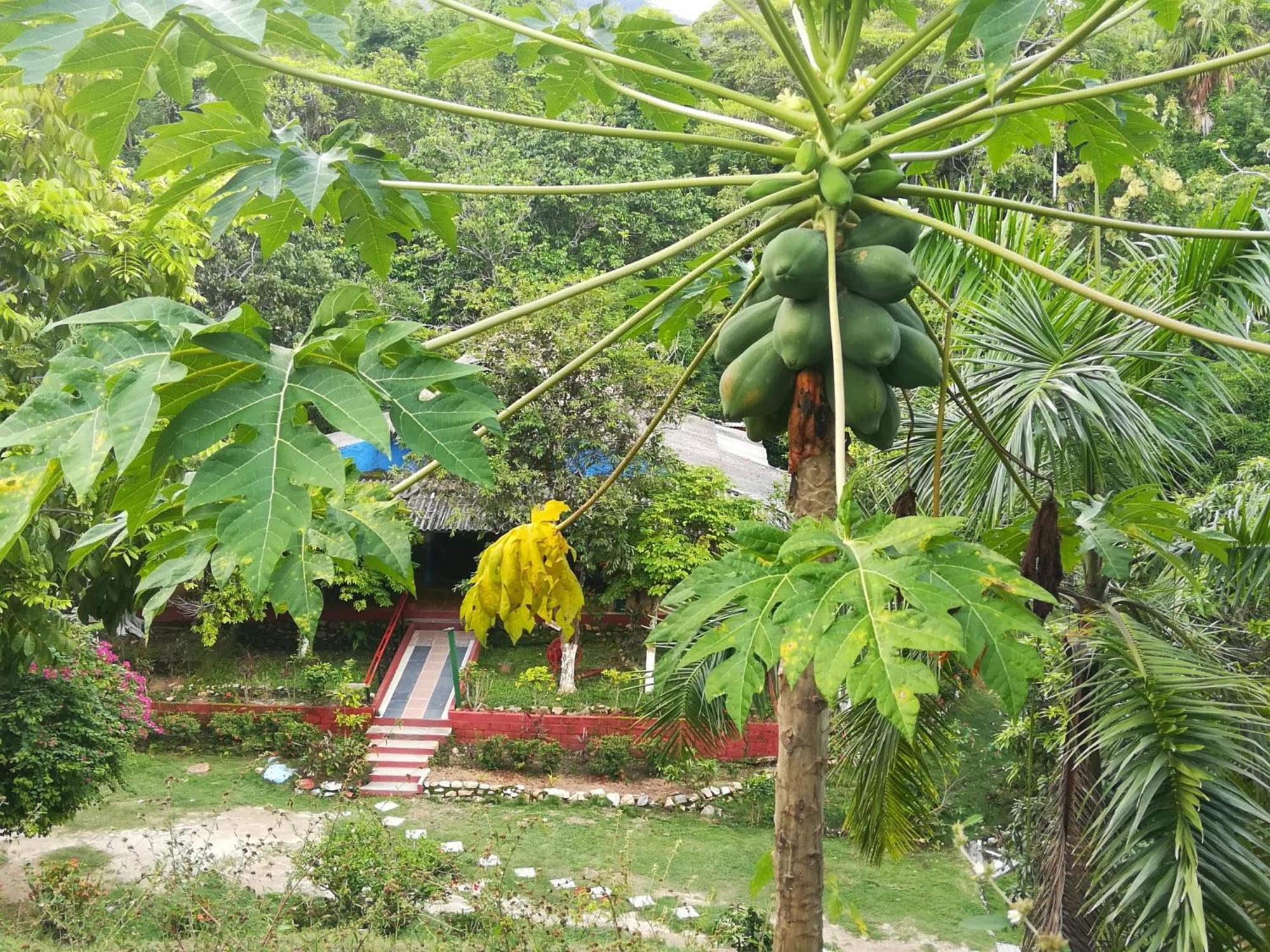 Lodge Entre Bosques Tayrona Los Naranjos