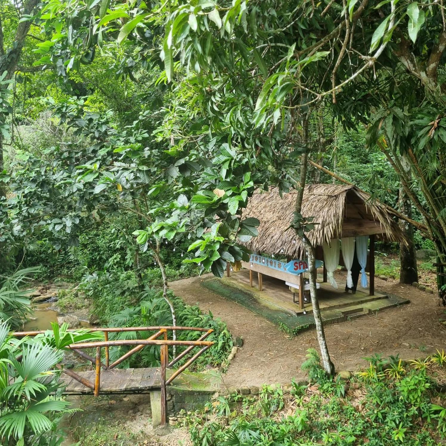 Entre Bosques Tayrona *
