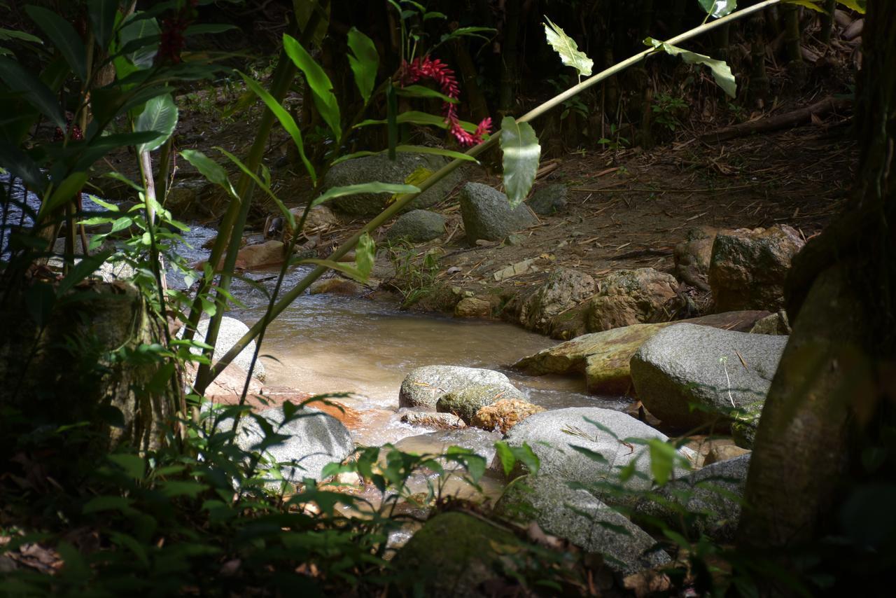 Entre Bosques Tayrona Lodge
