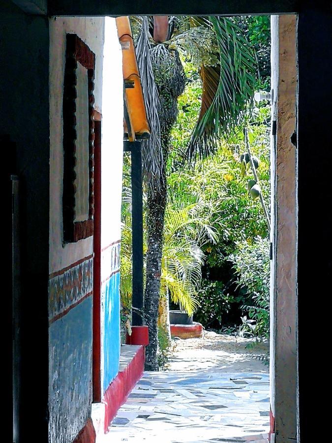 Entre Bosques Tayrona
