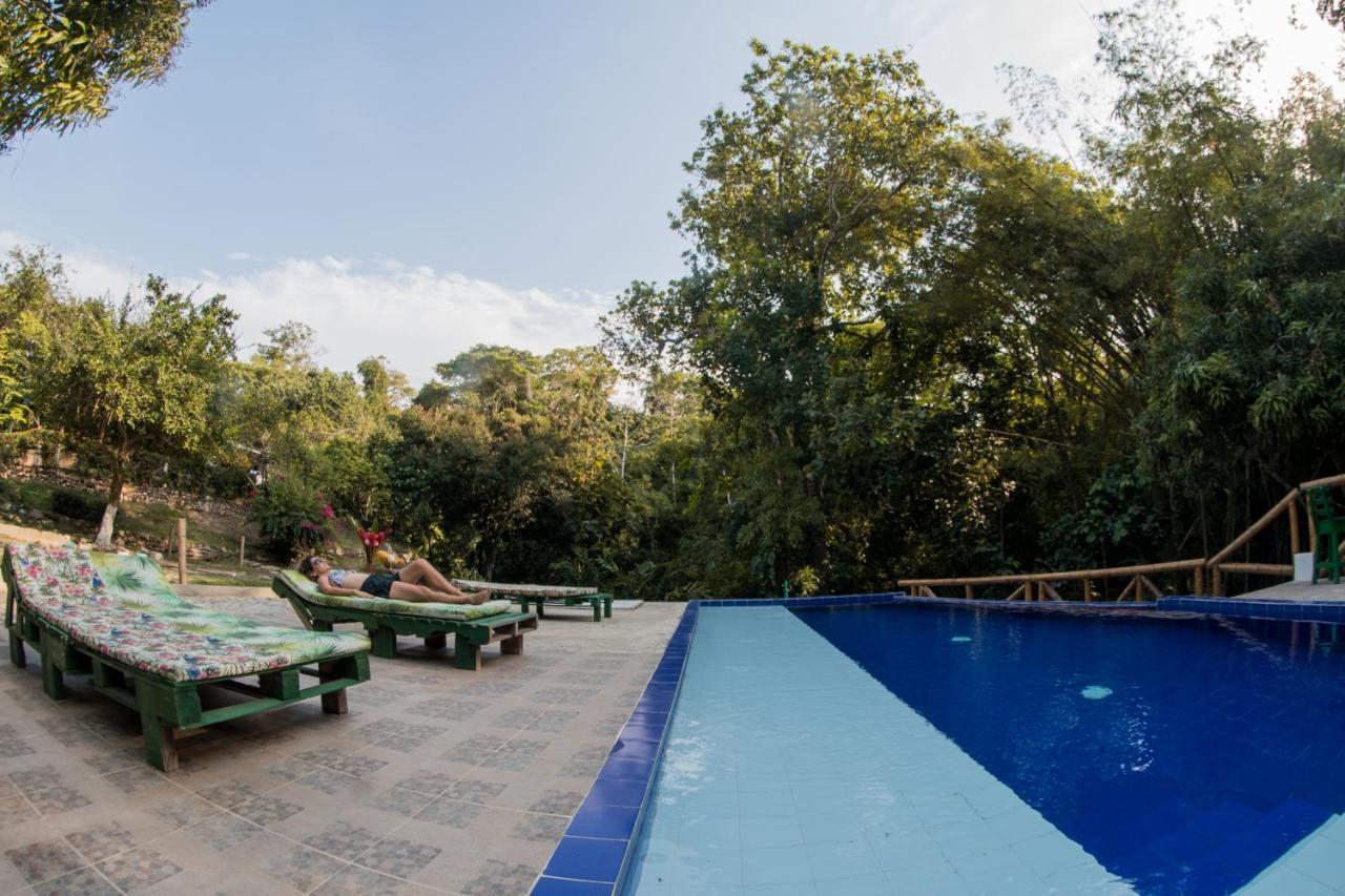 Entre Bosques Tayrona *