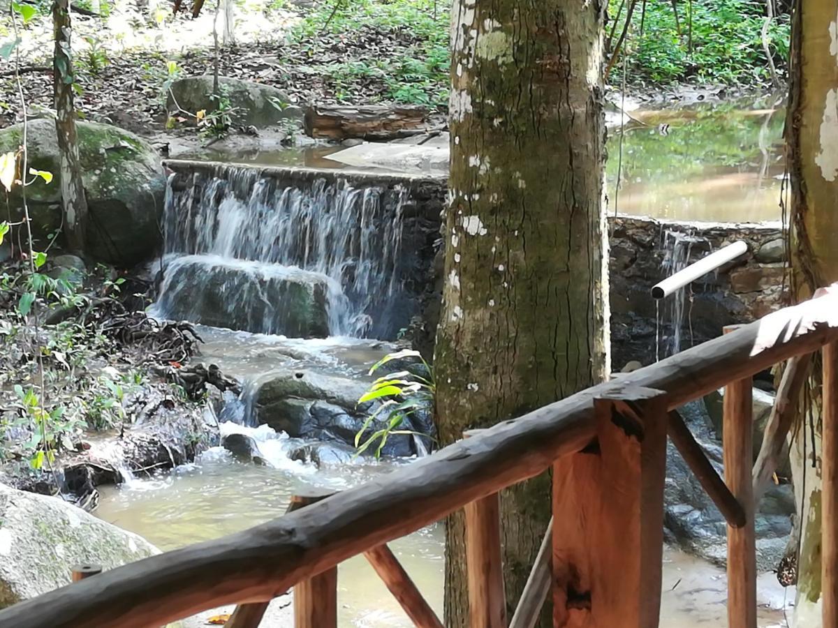 Entre Bosques Tayrona