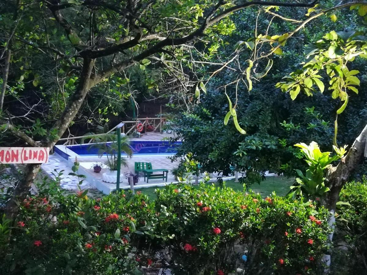 Lodge Entre Bosques Tayrona *
