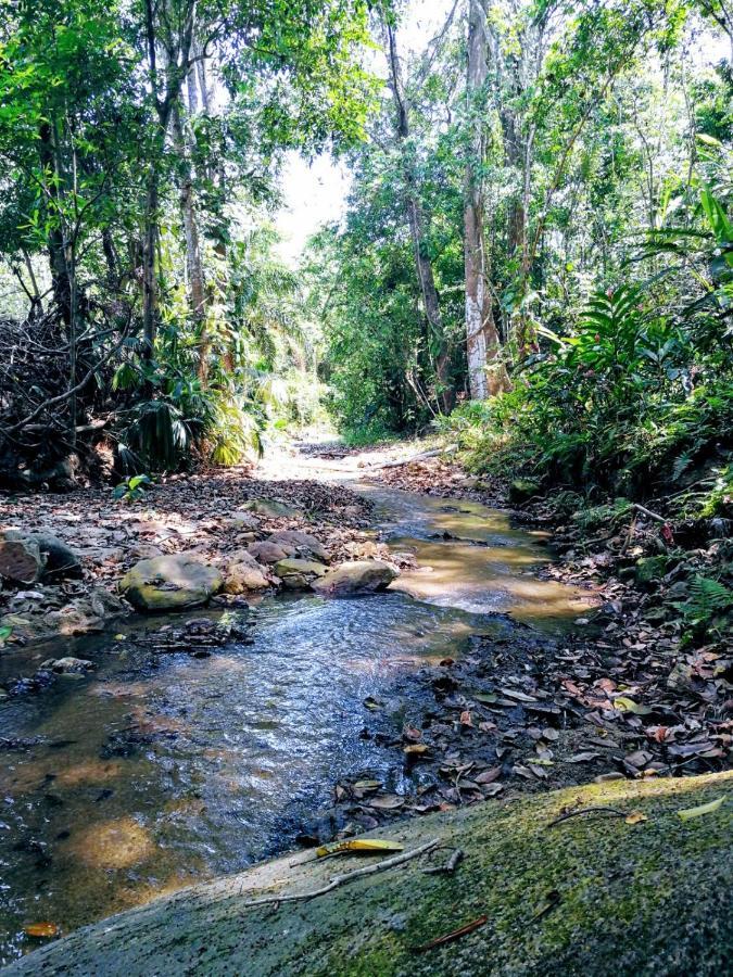 Entre Bosques Tayrona Lodge